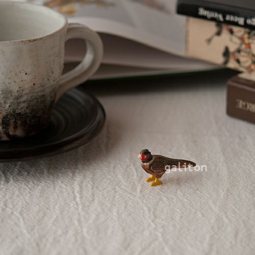 クリスティアンヴェルナー Christian Werner きじ オス（大）