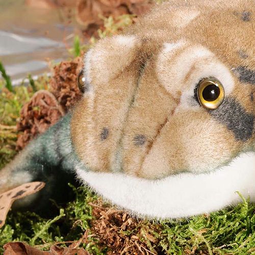 【納期未定】ケーセン Koesen ぬいぐるみ ヒキガエル