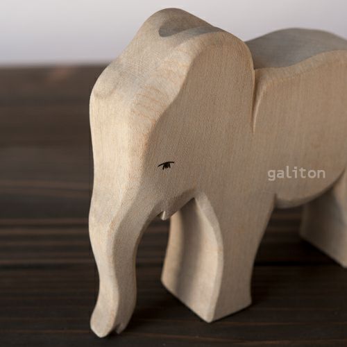 オストハイマー Ostheimer ぞう メス