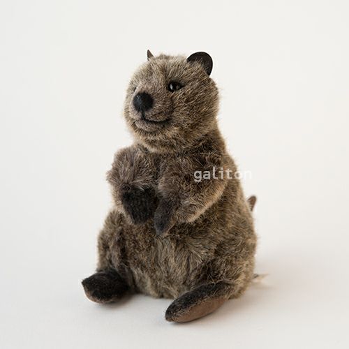 ケーセン Koesen ぬいぐるみ クオッカ（クアッカワラビー）（小）