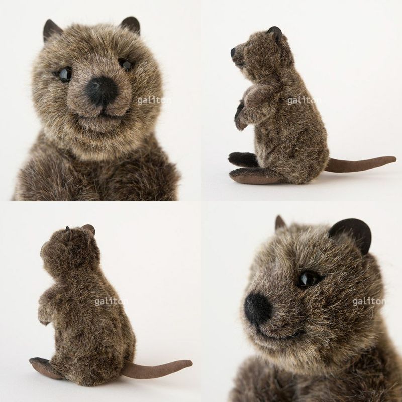 ケーセン Koesen ぬいぐるみ クオッカ（クアッカワラビー）（小）