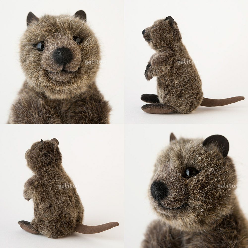 ケーセン Koesen ぬいぐるみ クオッカ（クアッカワラビー）（小）