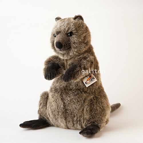 ケーセン Koesen ぬいぐるみ クオッカ（クアッカワラビー）（大）