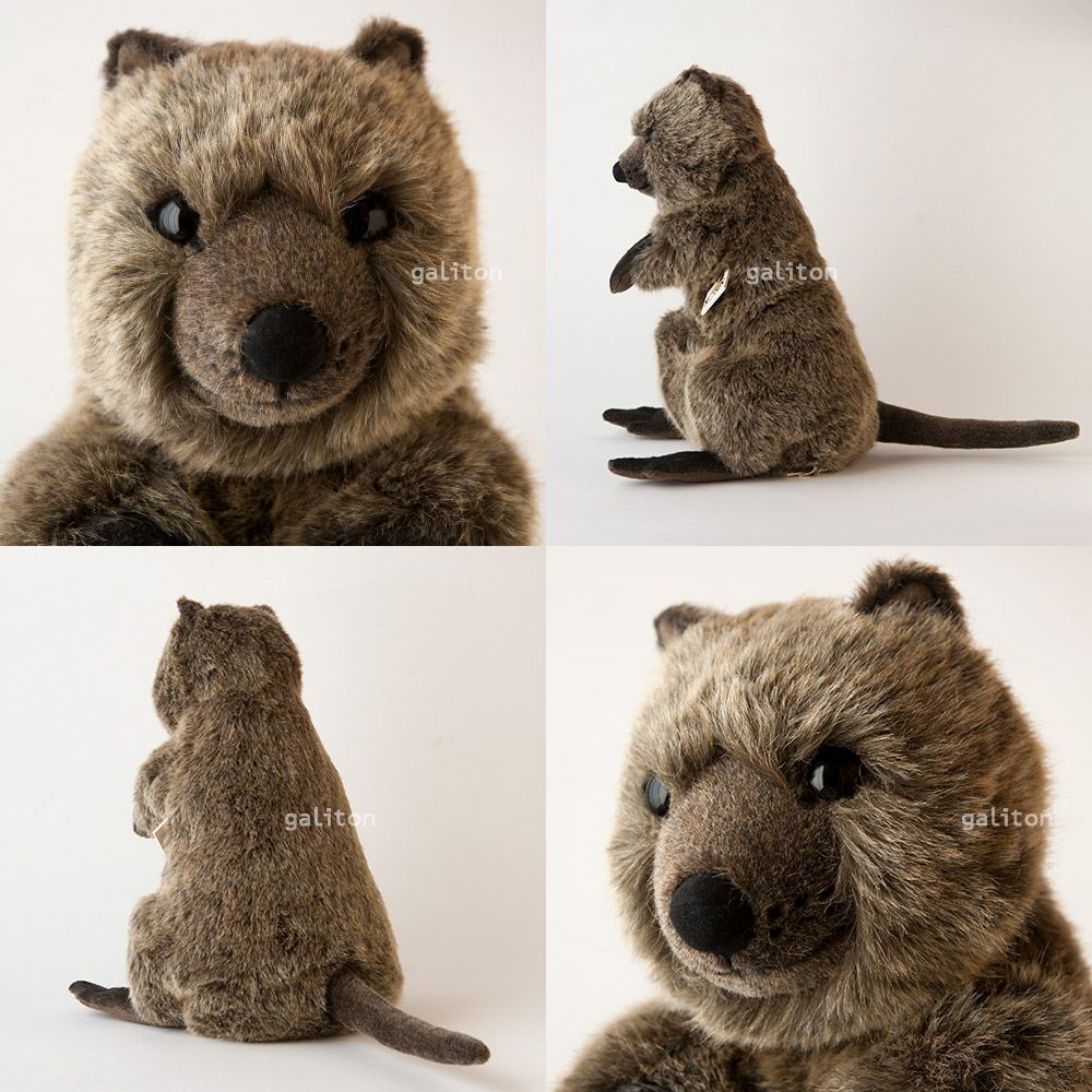 ケーセン Koesen ぬいぐるみ クオッカ（クアッカワラビー）（大）