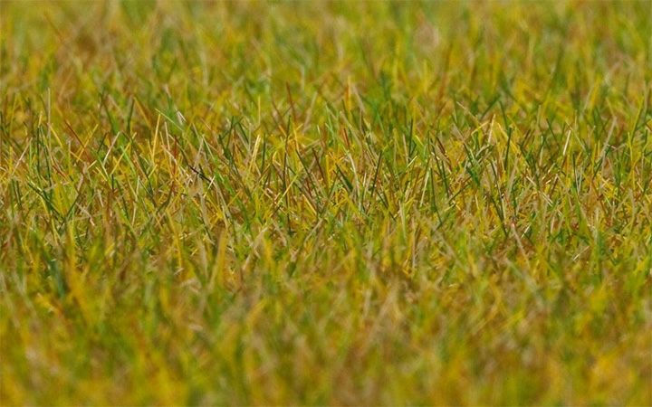 FALLER/ファーラー 180484 プレミアムグラウンドカバーファイバー 6mm 牧草 ライトグリーン 30g