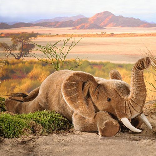 ケーセン Koesen ぬいぐるみ ねそべりぞう（大）