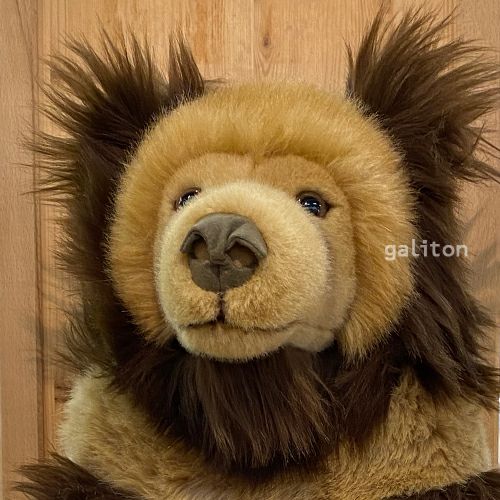 ケーセン Koesen ぬいぐるみ チベットヒグマ（ウマグマ）大 |木の