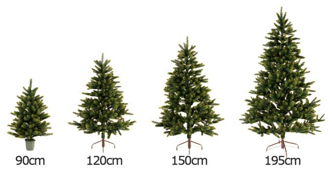 【予約販売】RSグローバルトレード社 RS GLOBAL TRADE シュヴァルツヴァルトツリー（クリスマスツリー） 195cm TANNE PREMIUM《納期:2025年10月頃の見込み》※キャンセル不可※