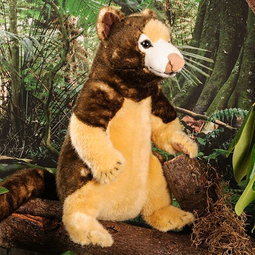 ケーセン Koesen ぬいぐるみ キノボリカンガルー