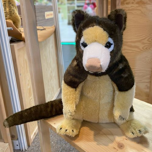 ケーセン Koesen ぬいぐるみ キノボリカンガルー