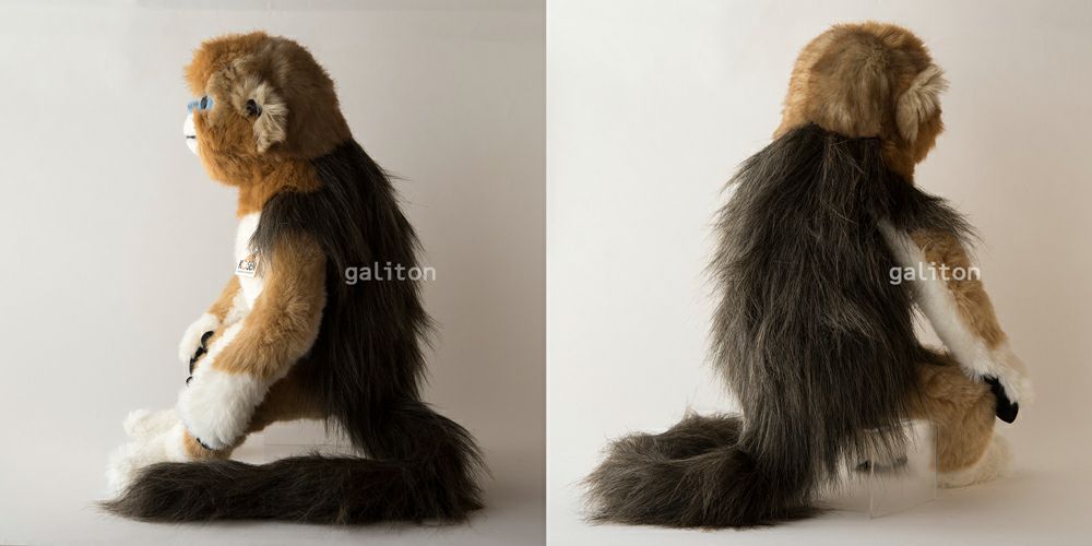 ケーセン Koesen ぬいぐるみ キンシコウ