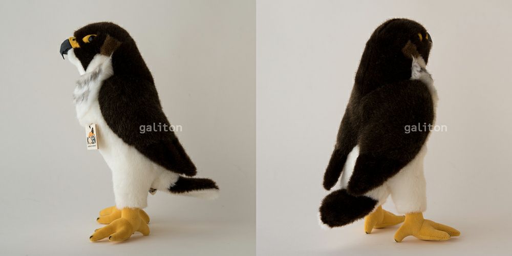 ケーセン Koesen ぬいぐるみ ハヤブサ